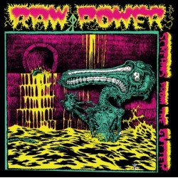 RAW POWER - Screams from the gutter LP